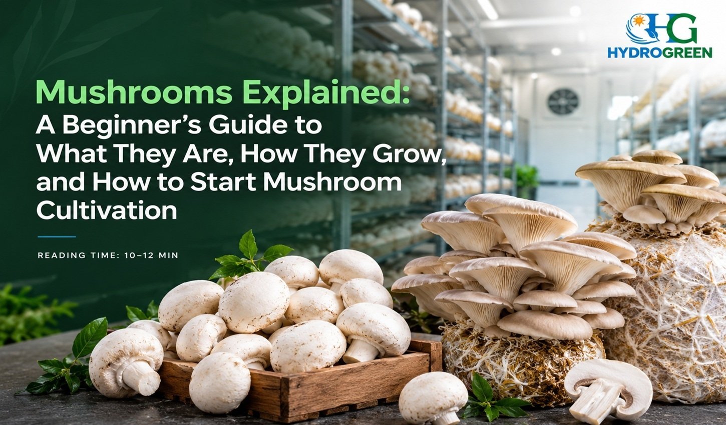 mushrooms-farming-a-beginners-guide-to-how-to-start-mushroom-cultivation - hydrogreen
