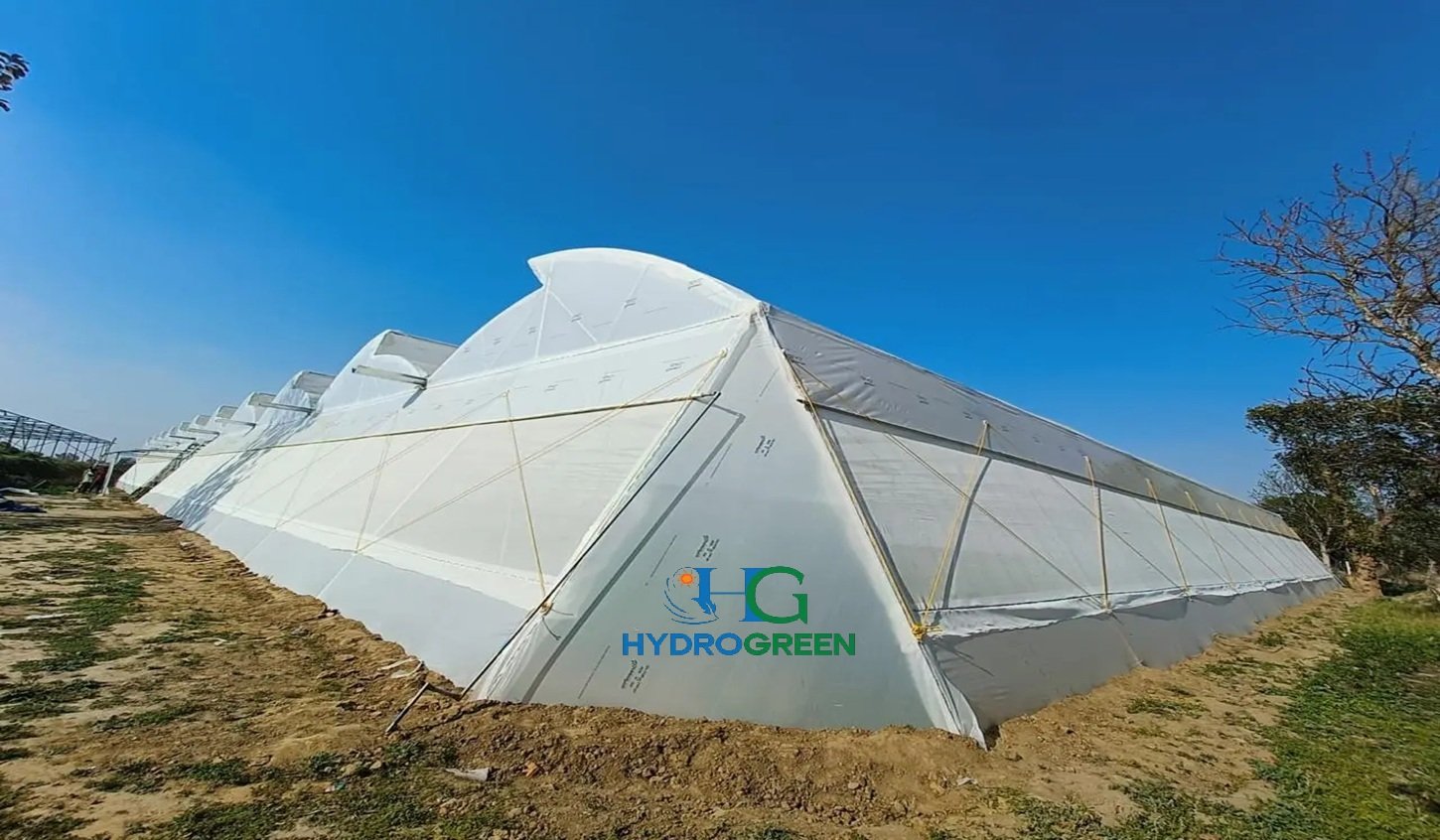 polyhouse-farming-in-india-the-complete-guide-to-high-profit-climate-proof-agriculture