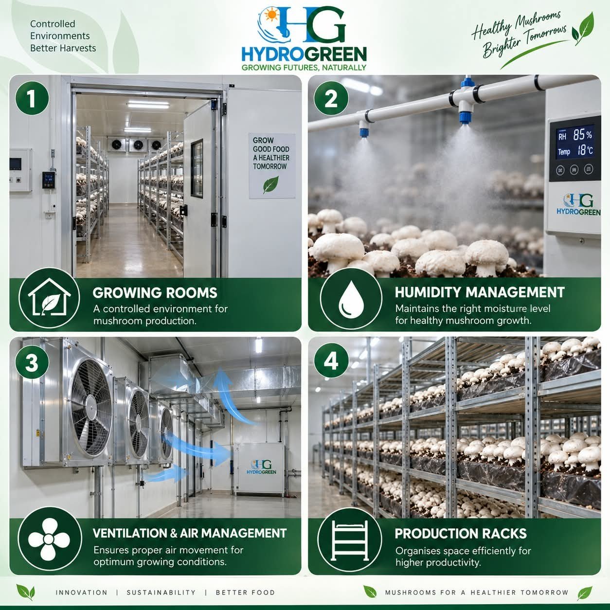 mushroom-cultivation-infrastructure-hydro-green